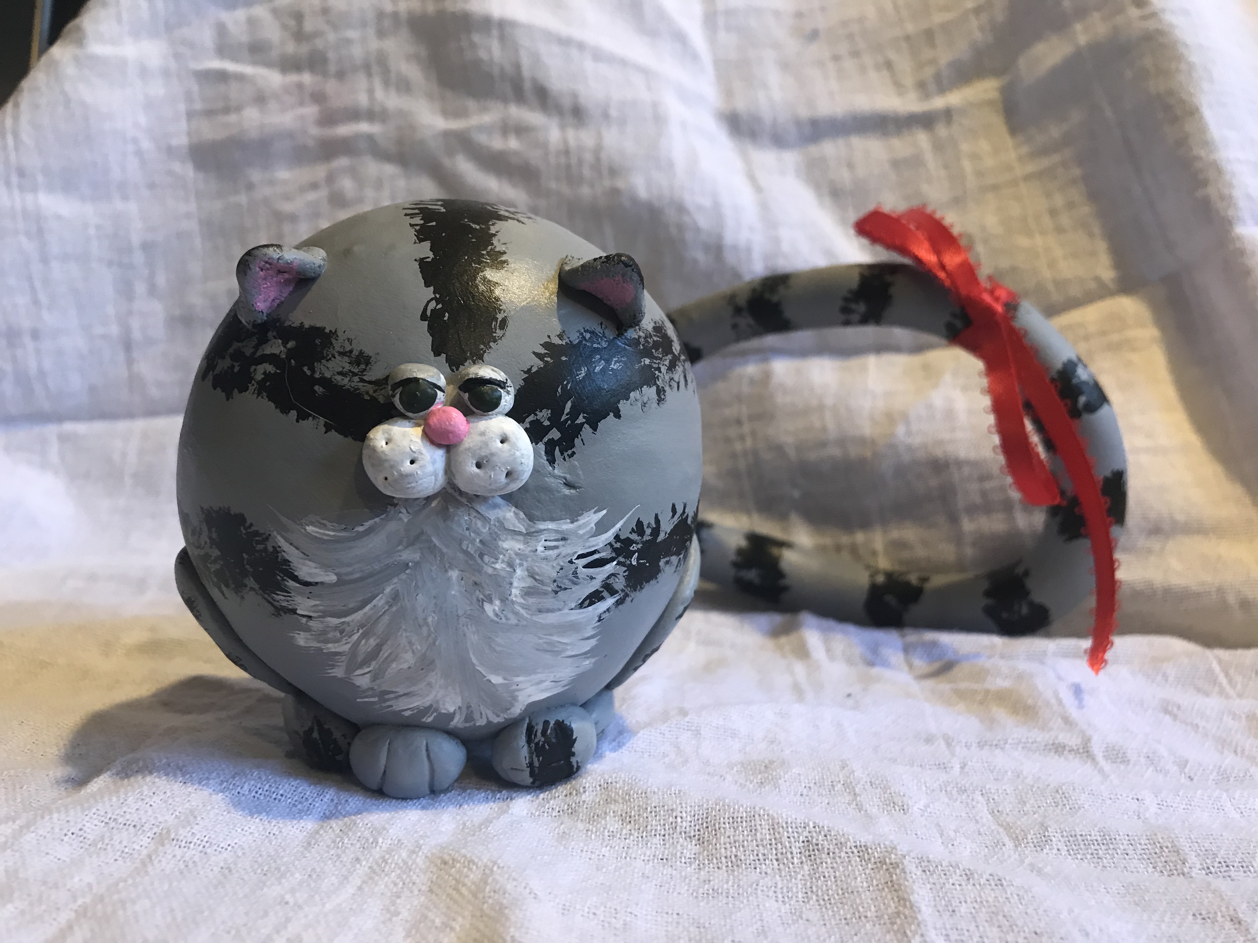 Grey Tabby