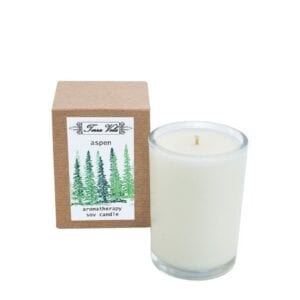Aspen Soy Candle