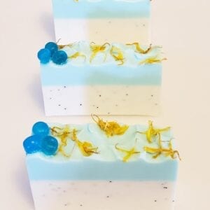 Dragonfruit Blueberry Soap