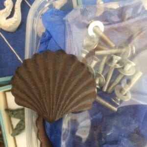 shell/knobs