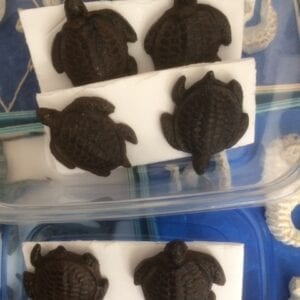 turtle/knobs