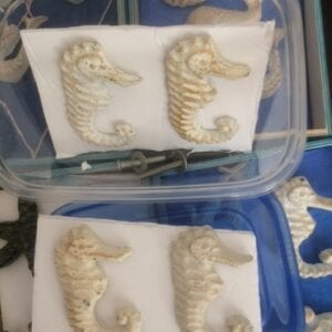 seahorse/knob