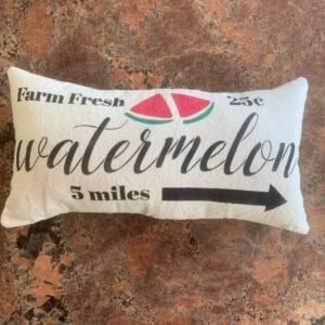 Lemonade/Watermelon Pillow