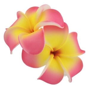 Polynesian Hawaiian Plumeria Flower Accessories