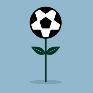 MLS Sports Hawaiian Plumeria Flower Accessories