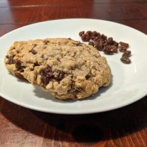 Oatmeal Raisin