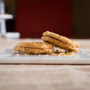 Oatmeal Peanut Butter Sandwich